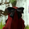 soja_625