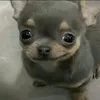 userr001m