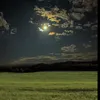 thedark.one20