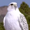usernbybgyd0ht