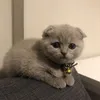 jfnsaq