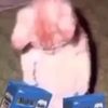 jxhhann.hatting