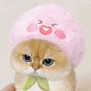 swagkittyprincess770