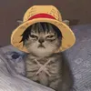 adi_kis