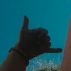 ani_arrigoni