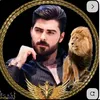 hassan_22s