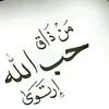 user374074768