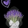 dei_104
