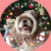 yonchantheshihtzu333