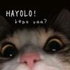 ykkyys