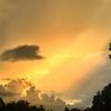 goldenskies54