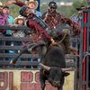 Goodbulls