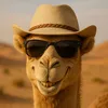 camel.boyz