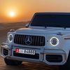 sultanalshamsi225