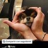 shareckhaydivyyan
