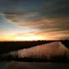 tranquocnhan200