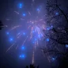 flo_bn08