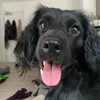 lxtmandy