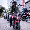 lingga_azdli