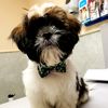 teddynbella