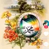 user262638731500