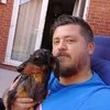 ipreferdogs
