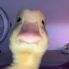 im..patatoes