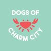 dogsofcharmcity