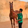 moftahalmjdobi