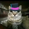 te_aml_tilin22