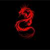 dragon_xxid