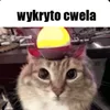 kumulalakumulasavesta0