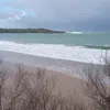 gabilaroja