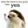 thebasherdude__