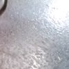 carmen_nenis