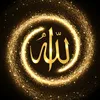 zahraina4