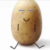 the_exotic_potato