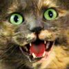 dnaguzzler