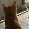 nhutngo75