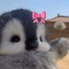 antonella_2675
