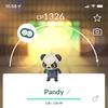 panda_master126