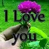 user2340792281483