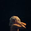 _priam_k