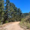 ruan_dupreez
