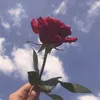 usery44phlpzeez