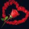 ab_s.alsh