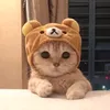 xlola_._