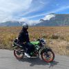 dewani246