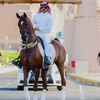 ثـامر الشـلاش 🐎🤎.