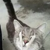 httwnss